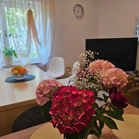 Apartment Rita Jasmin Novigrad Istria
