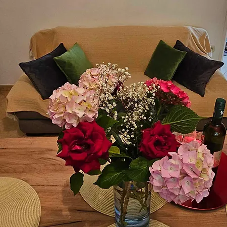 Rita Jasmin Apartmán