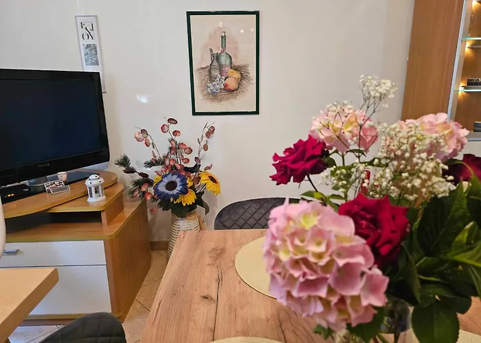 Rita Jasmin Appartement Novigrad Istria