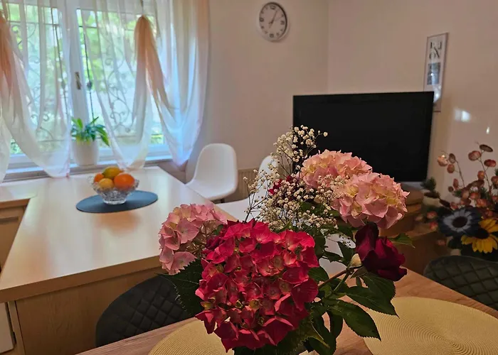 Appartement Rita Jasmin Novigrad Istria
