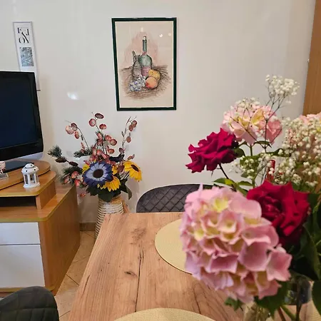Rita Jasmin Apartmán Novigrad Istria