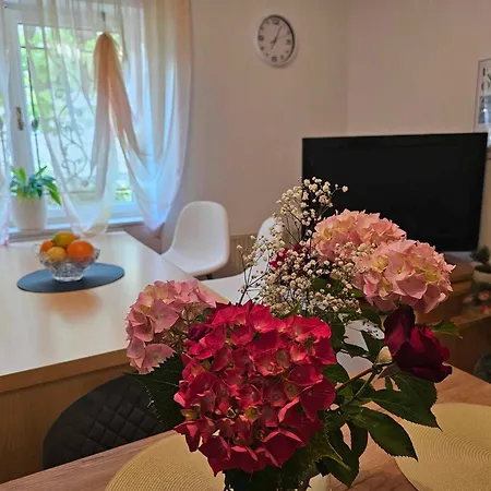 Apartmán Rita Jasmin Novigrad Istria