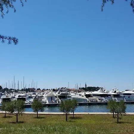 Rita Jasmin * Novigrad Istria