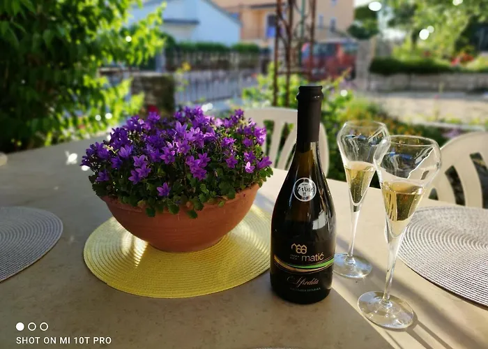 Apartment Rita Jasmin Novigrad (Istria)